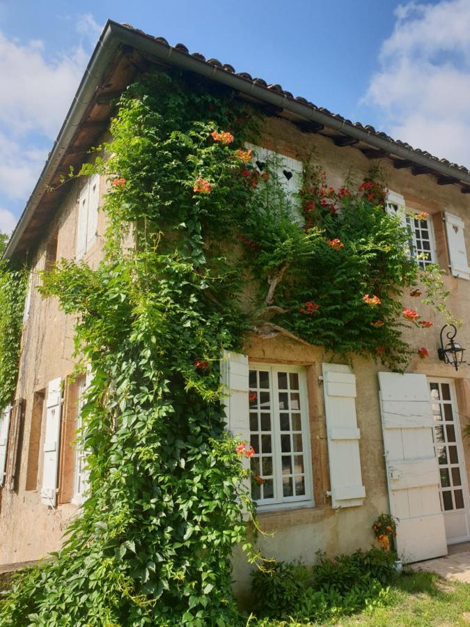 Le Carge D'Arlay Bed and Breakfast Charnay-lès-Mâcon Eksteriør billede